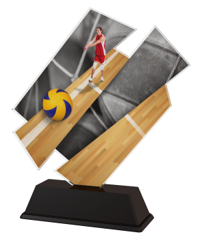 Acrylpokal Volleyball